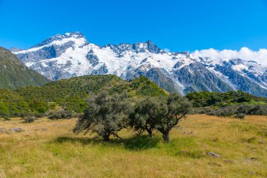 Aoraki Dağı 'ndaki Sefton Dağı / Yeni Zelanda' daki Cook Dağı Ulusal Parkı