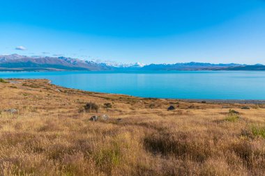 Aoraki / Mt. Aşçı Yeni Zelanda 'da Pukaki gölünün arkasında görüldü.