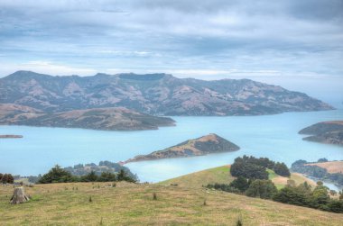 Akaroa yakınlarındaki Aawe yarımadasında Banks yarımadasının içinde, Yeni Zelanda
