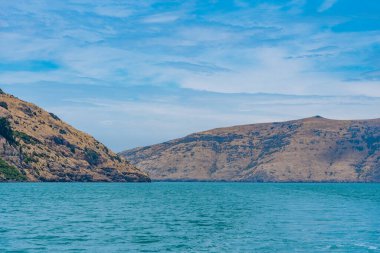 Yeni Zelanda 'daki Banks yarımadasının kıyı şeridi