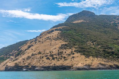 Yeni Zelanda 'daki Banks yarımadasının kıyı şeridi