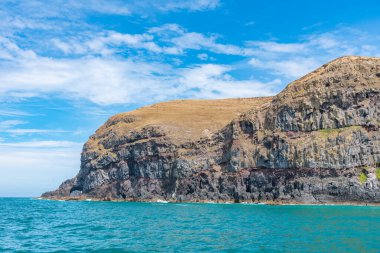 Yeni Zelanda 'daki Banks yarımadasının kıyı şeridi