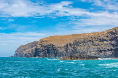 Yeni Zelanda 'daki Banks yarımadasının kıyı şeridi