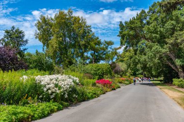 İnsanlar Yeni Zelanda 'daki Christchurch Botanik Bahçeleri' nde geziniyorlar.