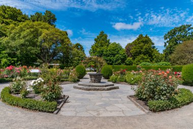 Yeni Zelanda 'daki Christchurch Botanik Bahçesi' nde gül bahçesi