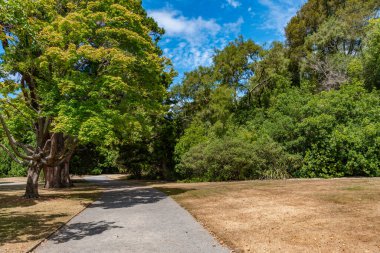 Yeni Zelanda 'daki Christchurch Botanik Bahçesi