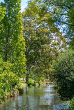 Christchurch, Yeni Zelanda 'daki Avon nehrinin kıyısında.