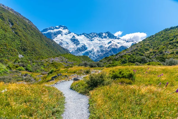 Sefton Aoraki Mount Cook National Park New Zealand — 스톡 사진