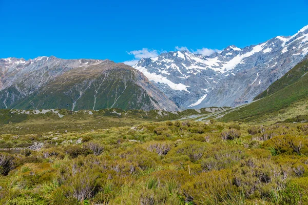 Mount Sefton Vid Aoraki Mount Cook Nationalpark Nya Zeeland — Stockfoto