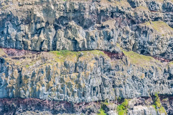 Côtes Péninsule Banks Nouvelle Zélande — Photo