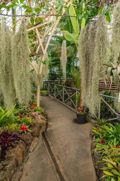 Conservatory of Christchurch Botanic garden in New Zealand