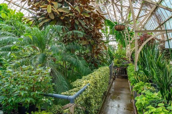 Conservatory Christchurch Botanic Garden New Zealand — стокове фото