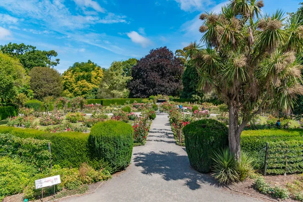 Jardín Rosas Jardín Botánico Christchurch Nueva Zelanda — Foto de Stock
