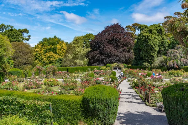 Rose garden at Christchurch Botanic garden in New Zealand