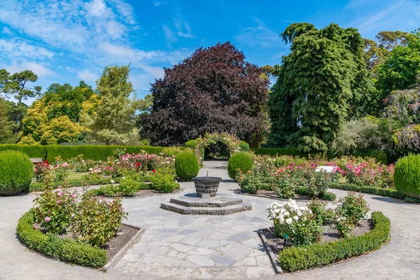 Rosengarten Botanischen Garten Von Christchurch Neuseeland — Stockfoto