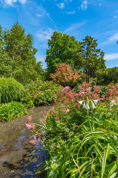 Watergarden Christchurch Botanic Garden New Zealand — Stock Photo, Image