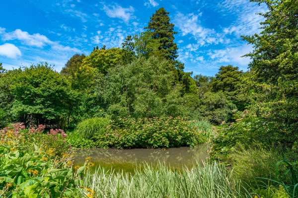 Watergarden Botanischen Garten Von Christchurch Neuseeland — Stockfoto