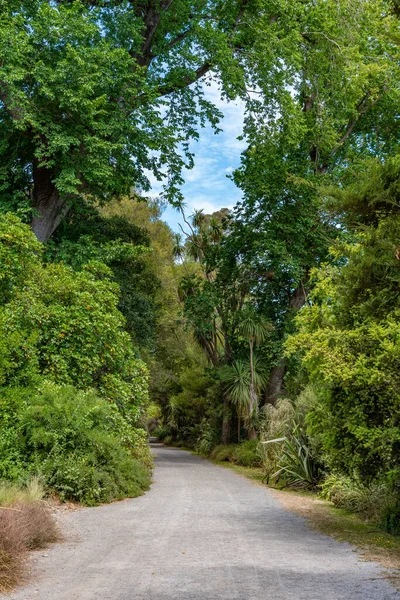 Christchurch Jardim Botânico Nova Zelândia — Fotografia de Stock