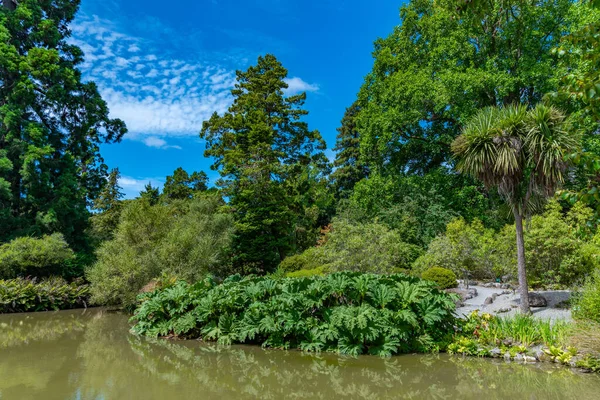 Ogród Wodny Christchurch Ogród Botaniczny Nowej Zelandii — Zdjęcie stockowe