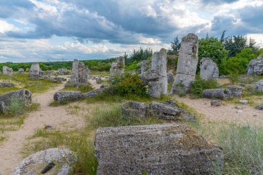 Bulgaristan 'ın Varna kenti yakınlarındaki Taş Ormanı