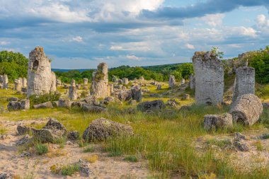 Bulgaristan 'ın Varna kenti yakınlarındaki Taş Ormanı