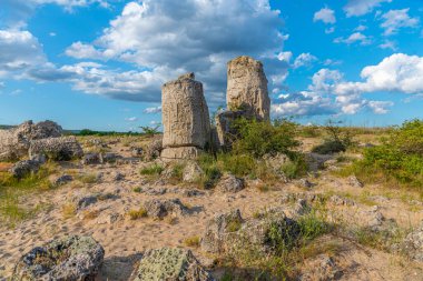 Bulgaristan 'ın Varna kenti yakınlarındaki Taş Ormanı
