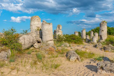 Bulgaristan 'ın Varna kenti yakınlarındaki Taş Ormanı