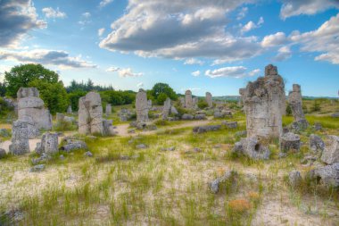Bulgaristan 'ın Varna kenti yakınlarındaki Taş Ormanı