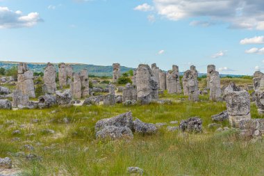 Bulgaristan 'ın Varna kenti yakınlarındaki Taş Ormanı