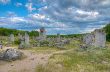 Bulgaristan 'ın Varna kenti yakınlarındaki Taş Ormanı