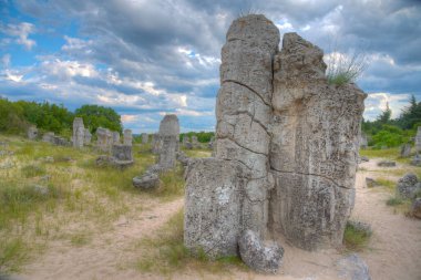 Bulgaristan 'ın Varna kenti yakınlarındaki Taş Ormanı