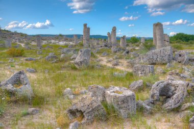 Bulgaristan 'ın Varna kenti yakınlarındaki Taş Ormanı