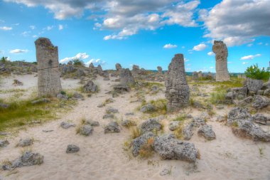 Bulgaristan 'ın Varna kenti yakınlarındaki Taş Ormanı