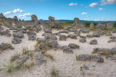 Bulgaristan 'ın Varna kenti yakınlarındaki Taş Ormanı