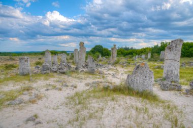 Bulgaristan 'ın Varna kenti yakınlarındaki Taş Ormanı