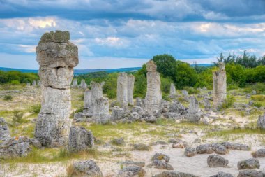 Bulgaristan 'ın Varna kenti yakınlarındaki Taş Ormanı