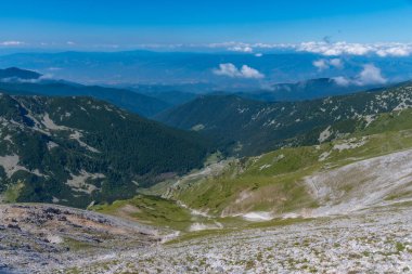 Bulgaristan 'daki Pirin Ulusal Parkı tepelerinde yayılan ormanlar