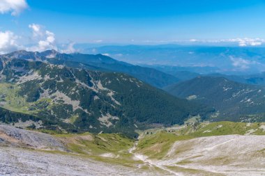 Bulgaristan 'daki Pirin Ulusal Parkı tepelerinde yayılan ormanlar