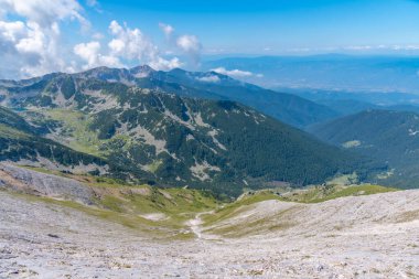 Bulgaristan 'daki Pirin Ulusal Parkı tepelerinde yayılan ormanlar