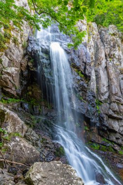 Bulgaristan 'daki Vitosha dağında Boyana şelalesi