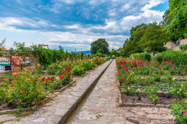 Rosenträdgård Botaniska Trädgården Balchik Palats Bulgarien — Stockfoto