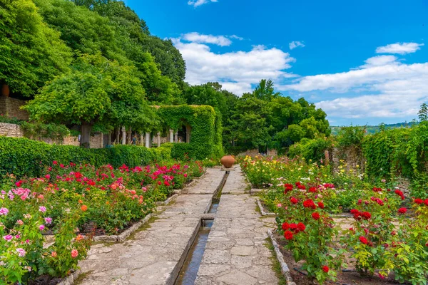 Rosenträdgård Botaniska Trädgården Balchik Palats Bulgarien — Stockfoto