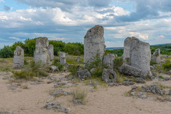 Bulgaristan 'ın Varna kenti yakınlarındaki Taş Ormanı