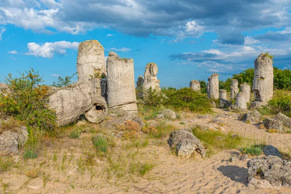 Bulgaristan 'ın Varna kenti yakınlarındaki Taş Ormanı