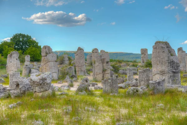 Bulgaristan 'ın Varna kenti yakınlarındaki Taş Ormanı