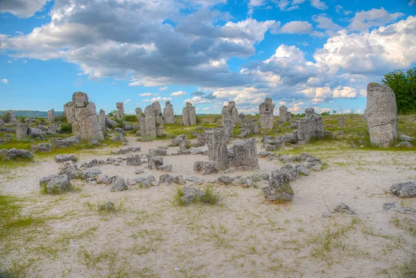 Bulgaristan 'ın Varna kenti yakınlarındaki Taş Ormanı