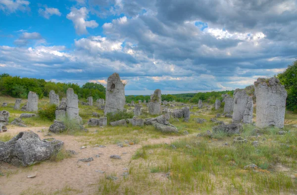 Bulgaristan 'ın Varna kenti yakınlarındaki Taş Ormanı
