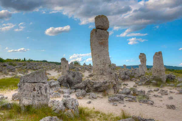 Bulgaristan 'ın Varna kenti yakınlarındaki Taş Ormanı