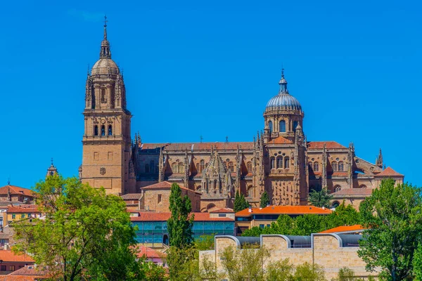 Catedral Salamanca Reflejada Río Tormes España —  Fotos de Stock