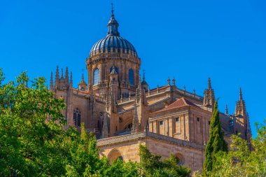 Katedral Salamanca, İspanya